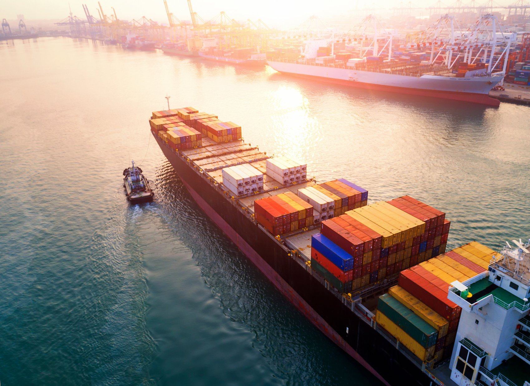 china to usa container shipping fast delivery